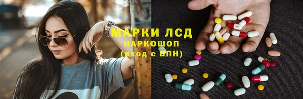 эйфоретик Беломорск