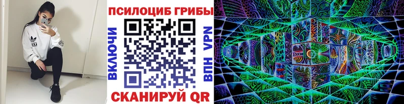 Галлюциногенные грибы прущие грибы это клад Невельск
